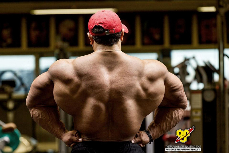 Roelly Winklaar