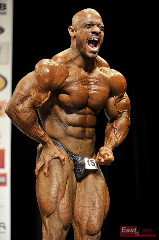 Sami al Haddad
