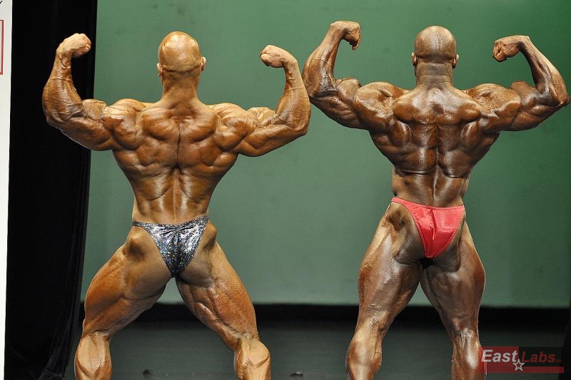 Sami al Haddad, Kevin English