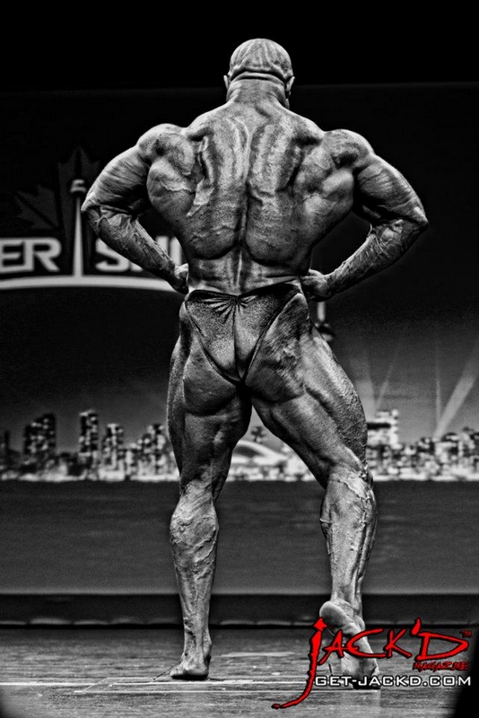 Bill Wilmore