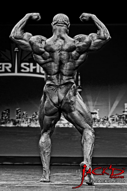 Bill Wilmore