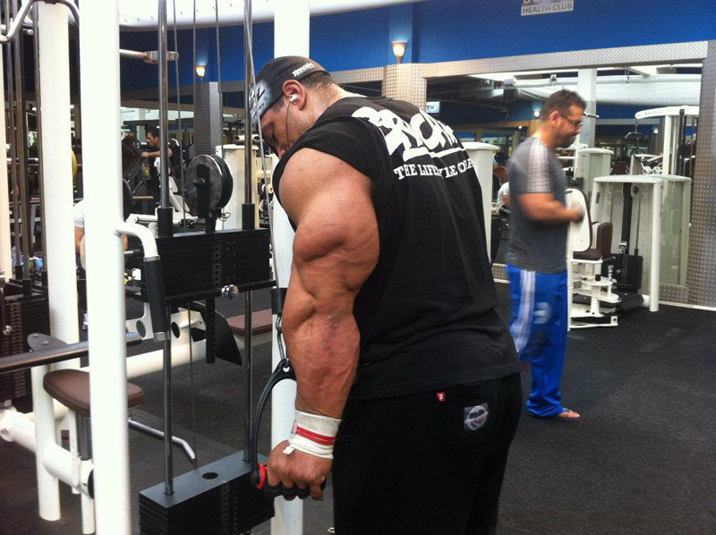 Roelly Winklaar