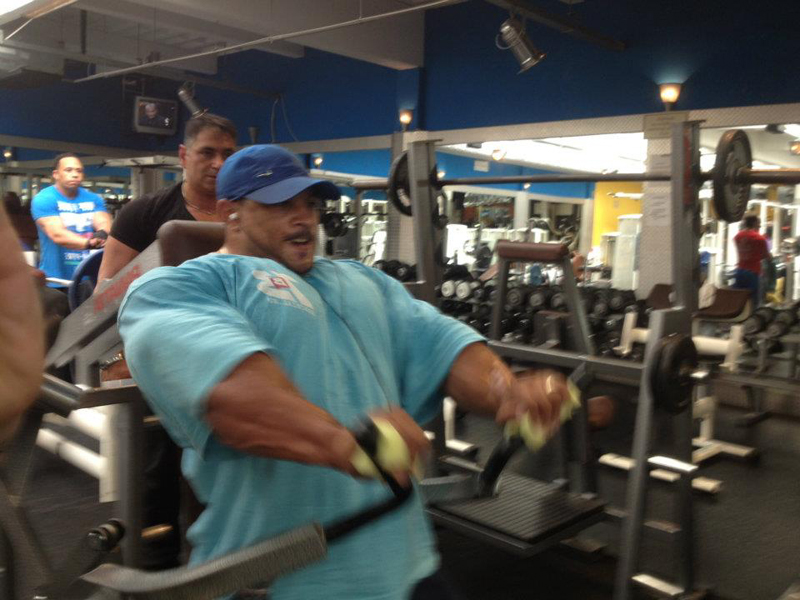 Roelly Winklaar