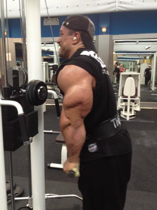 Roelly Winklaar