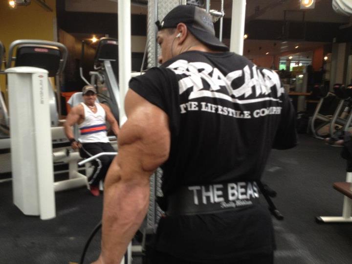Roelly Winklaar