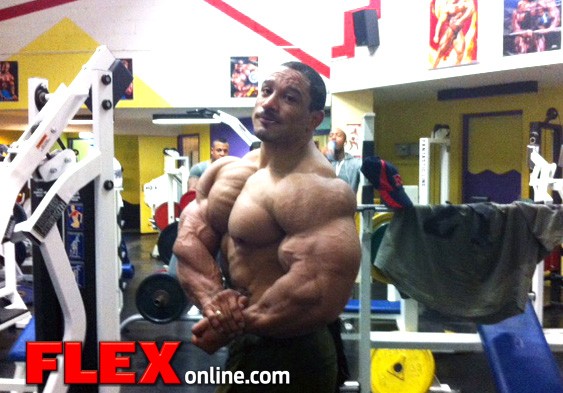 Roelly Winklaar