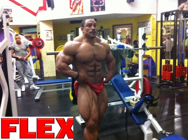 Roelly Winklaar