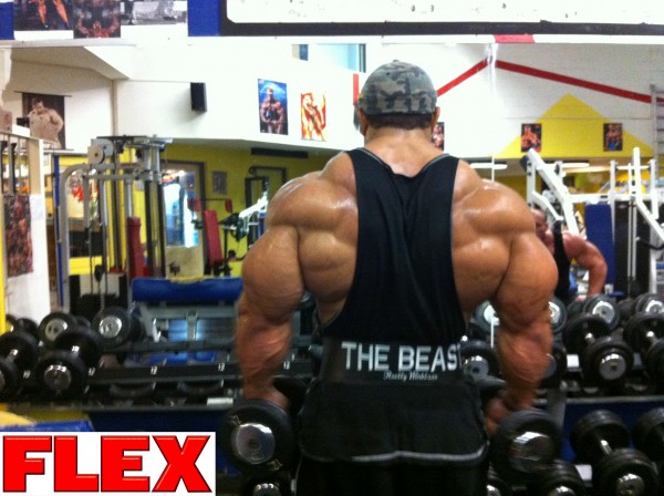 Roelly Winklaar