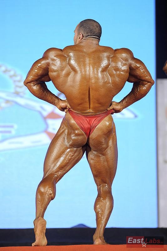 Mohamed Salama