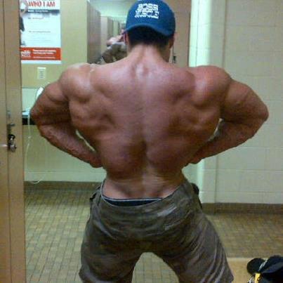 Tony Searle