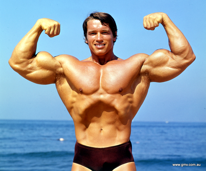 Arnold Schwarzenegger
