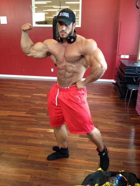 Antoine Vaillant