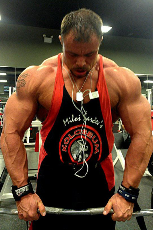 Daniel Hill