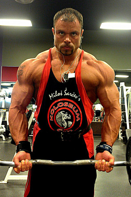 Daniel Hill