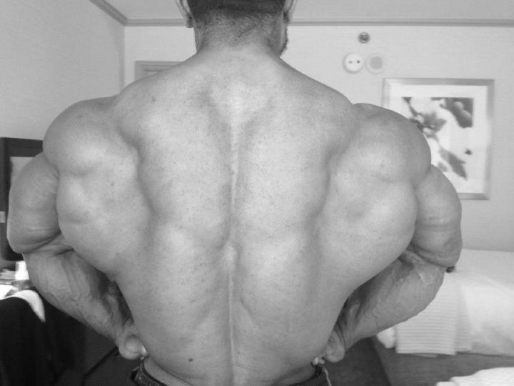Roelly Winklaar