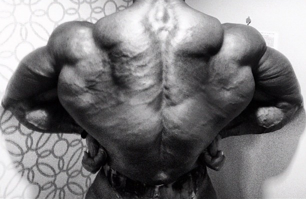 Toney Freeman