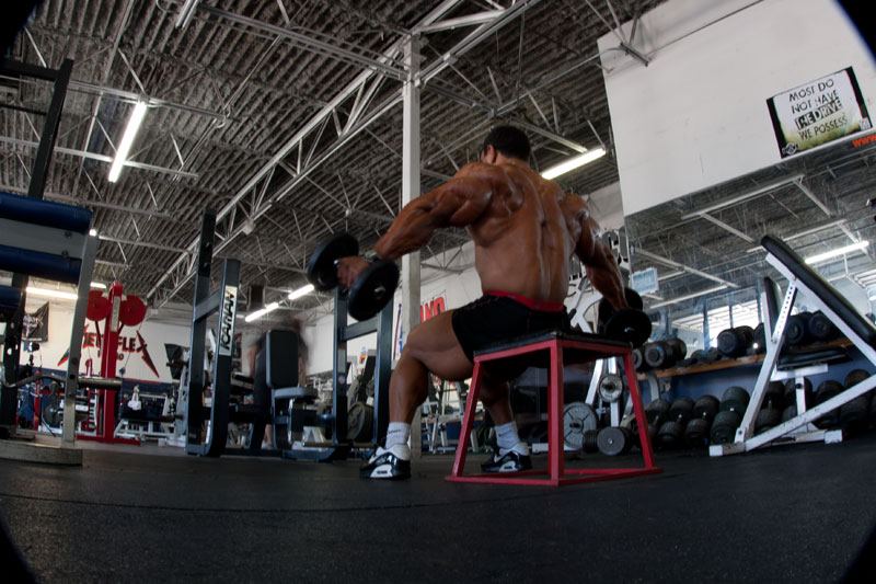 Roelly Winklaar