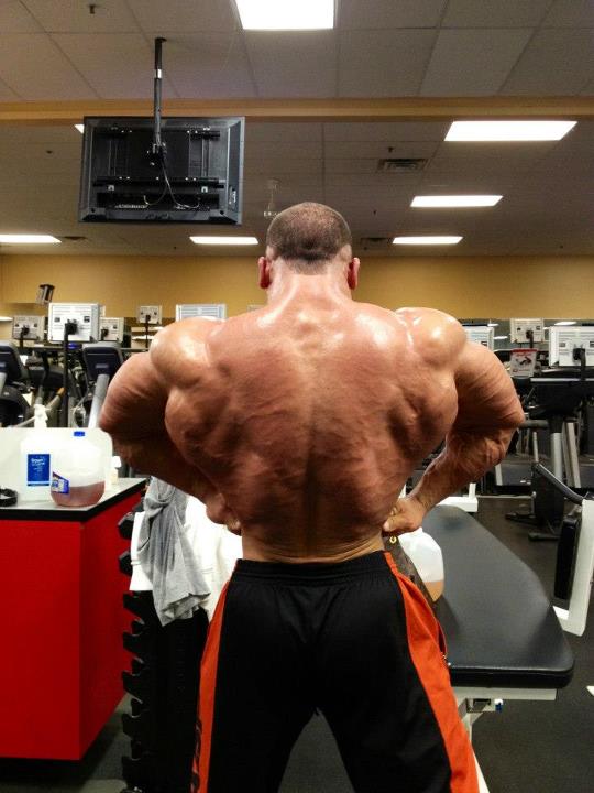 Nick Trigili