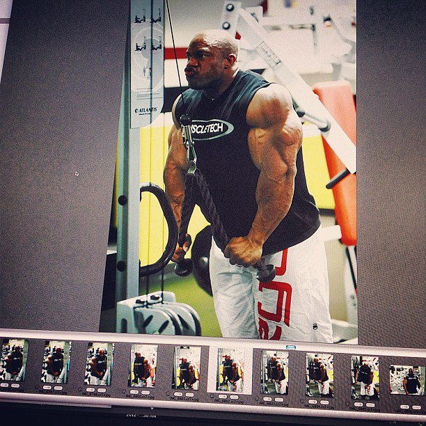 Phil Heath