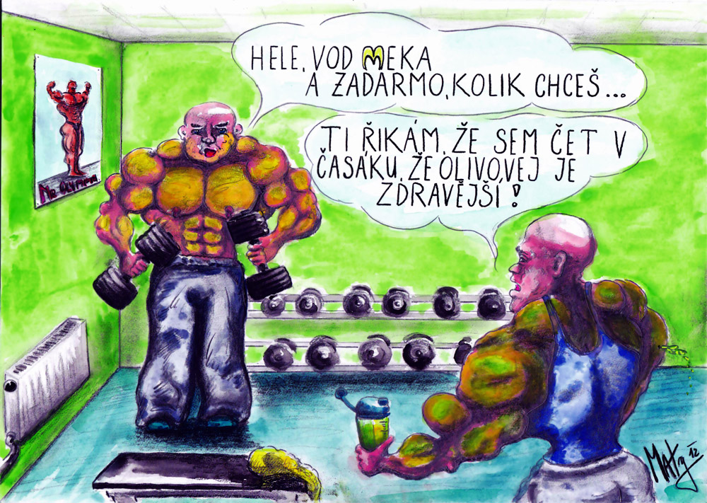 Autor: Martin Nov�k
