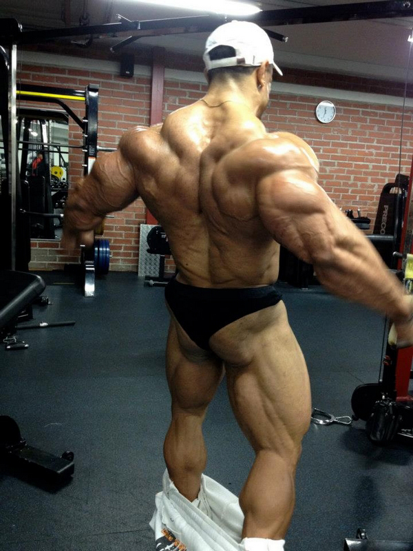 Roelly Winklaar