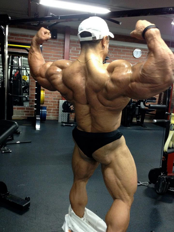 Roelly Winklaar