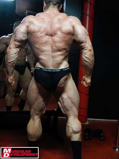 Evan Centopani