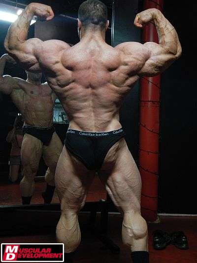 Evan Centopani
