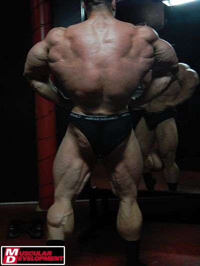 Evan Centopani