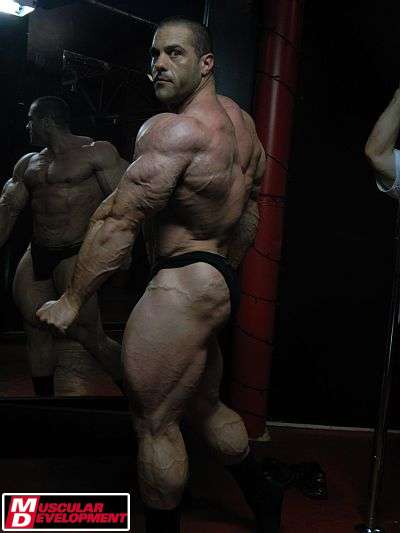 Evan Centopani
