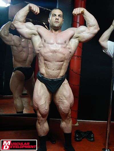 Evan Centopani