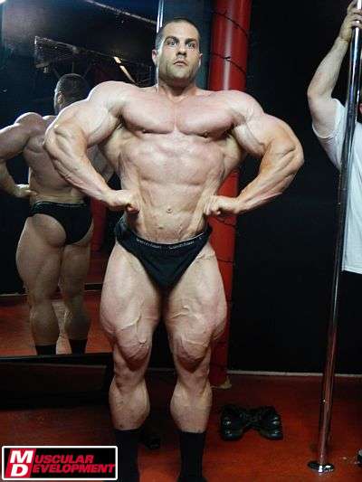 Evan Centopani