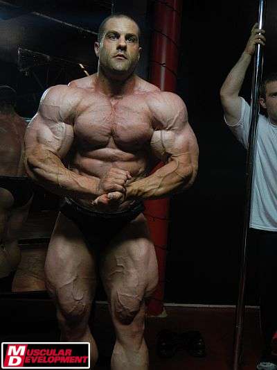 Evan Centopani