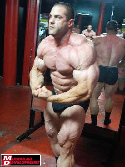 Evan Centopani