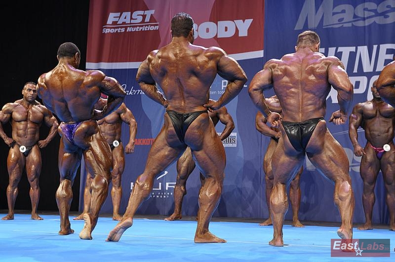Roelly Winklaar, Todd Jewell, Ronny Rockel