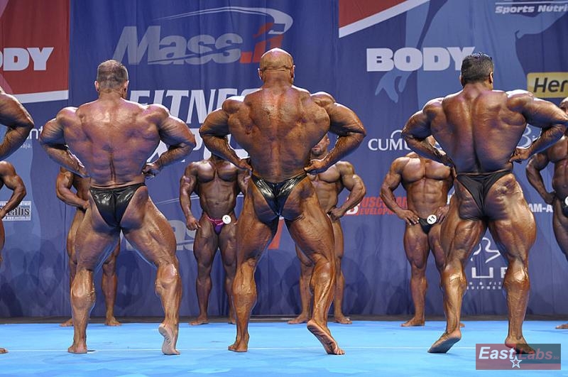 Ronny Rockel, Robert Piotrkowicz, Baitollah Abbaspour