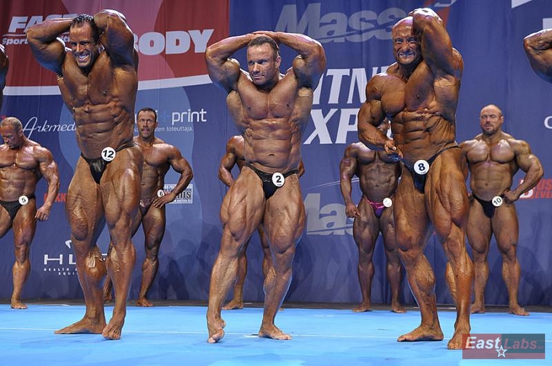 Todd Jewell, Ronny Rockel, Robert Piotrkowicz