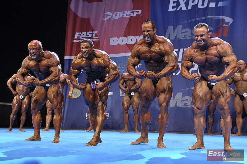 Robert Piotrkowicz, Roelly Winklaar, Todd Jewell, Ronny Rockel