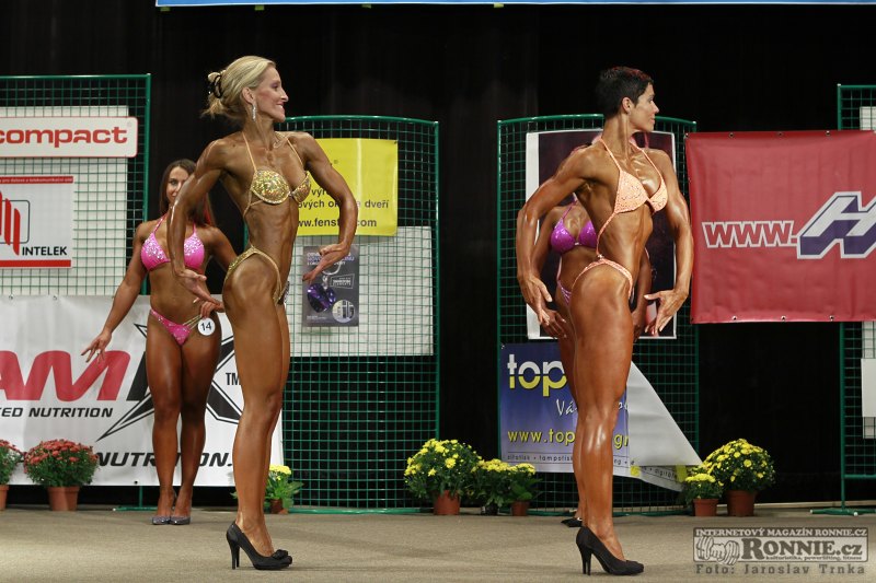&nbsp;