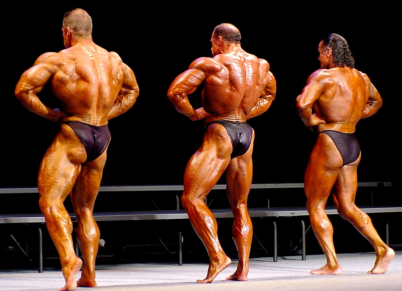 Geir Borgan Paulsen, Don Youngblood a Honore Cironte na Masters Olympia 2002