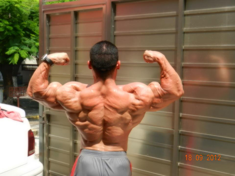 Angel Vargas