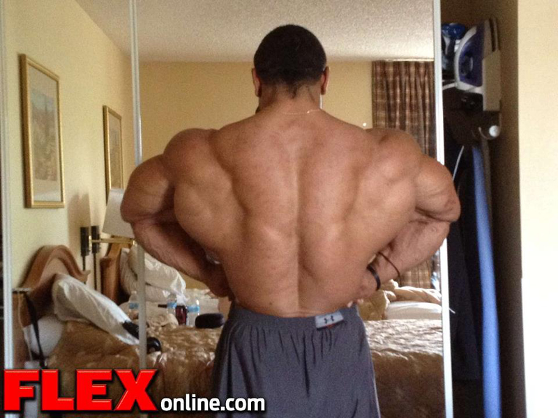 Roelly Winklaar
