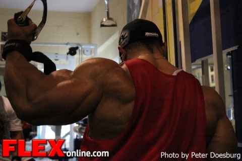 Roelly Winklaar