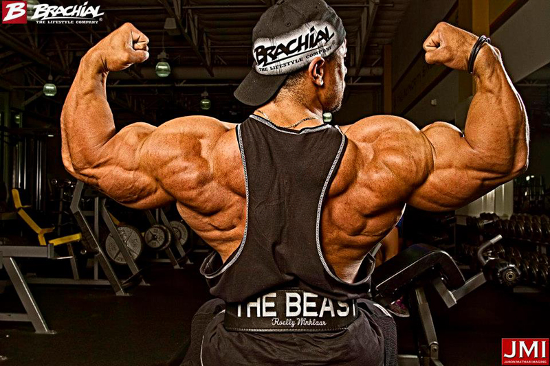 Roelly Winklaar