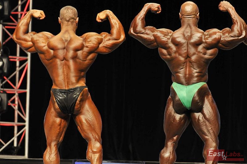 Evan Centopani, Toney Freeman
