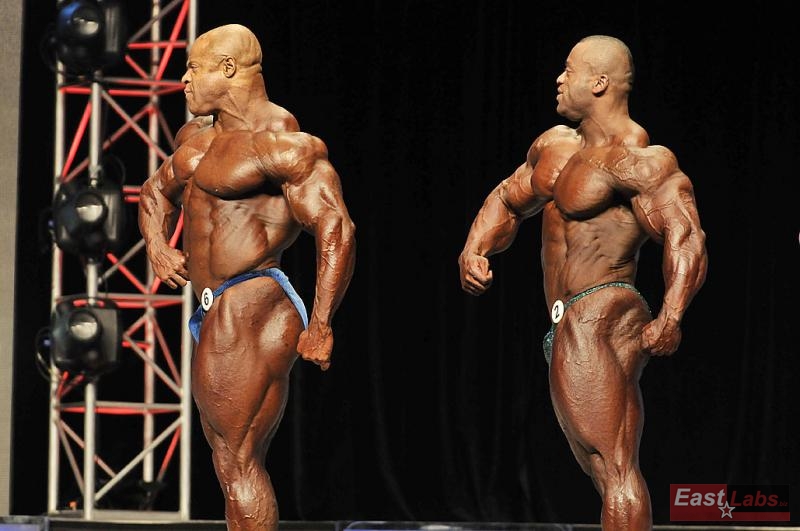 Bill Wilmore, Essa Obaid