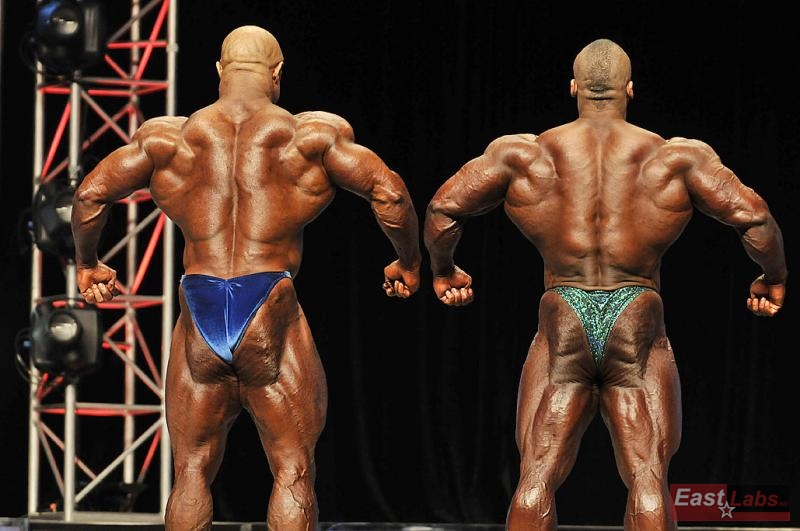 Bill Wilmore, Essa Obaid