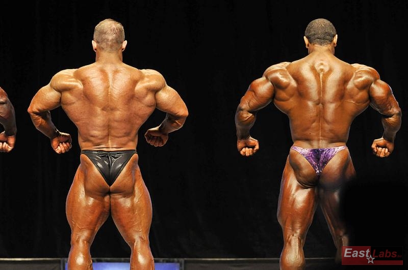 Ronny Rockel, Roelly Winklaar