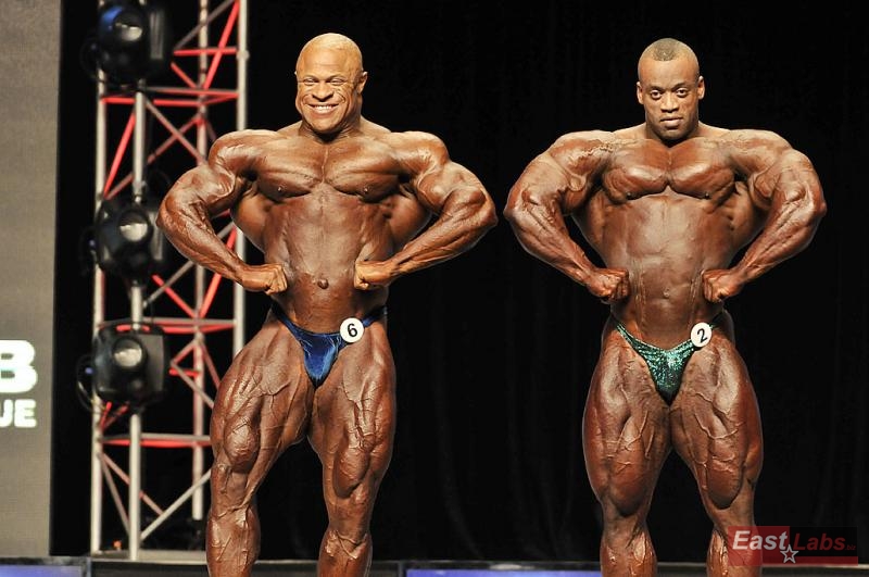 Bill Wilmore, Essa Obaid