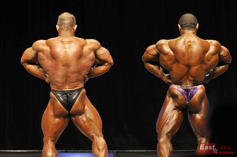 Ronny Rockel, Roelly Winklaar